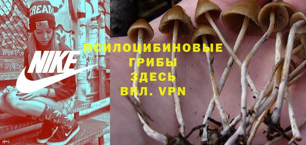 героин Ельня
