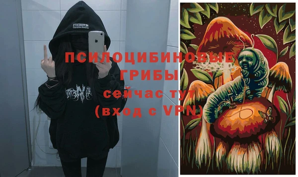 амф Елабуга