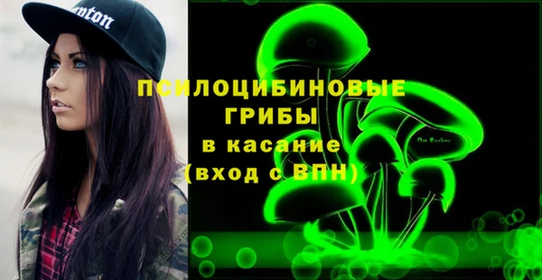 амф Елабуга