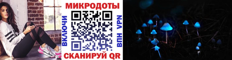 что такое   Вологда  Псилоцибиновые грибы мицелий 