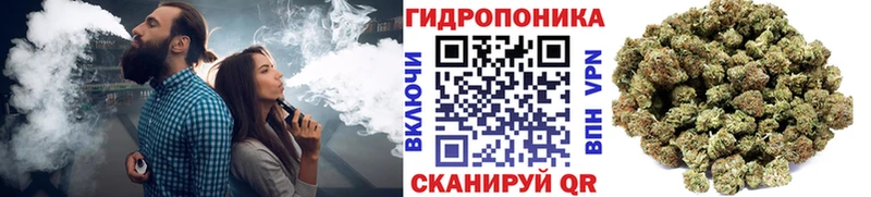 купить  цена  Вологда  Канабис планчик 